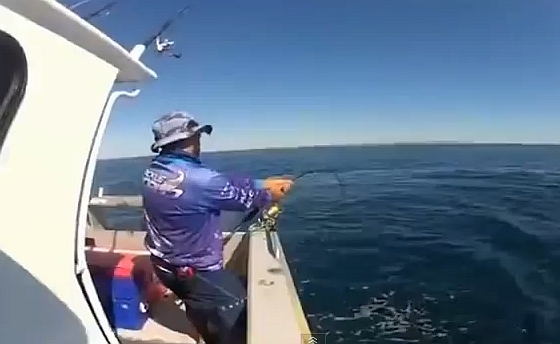 Image: Shane Chalker